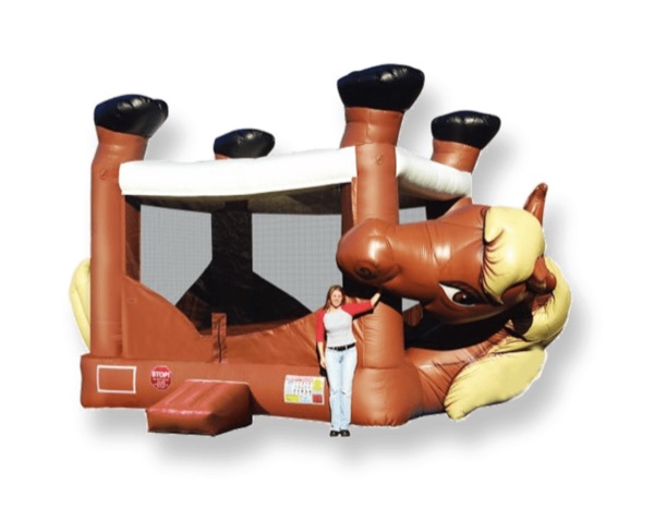 Pony Belly bronco bounce